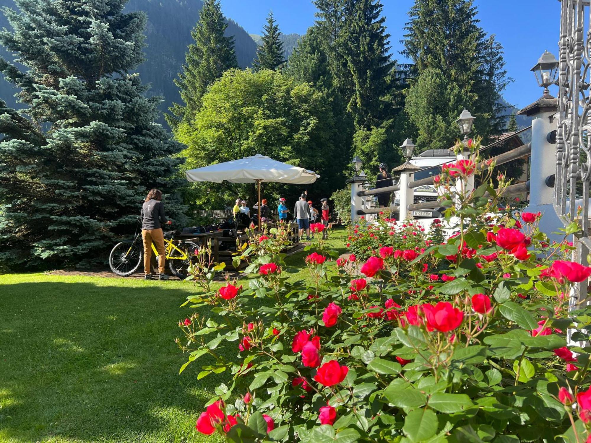 B&B Garni Villa Campitello 캄피텔로디파사 외부 사진